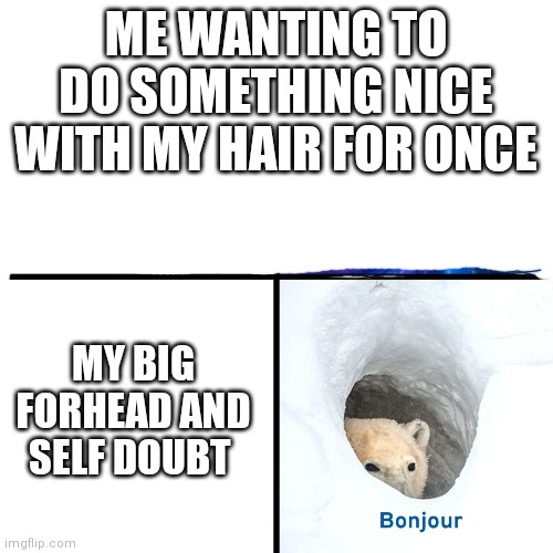 I'm so self conscious I just don't tell anyone :p | ME WANTING TO DO SOMETHING NICE WITH MY HAIR FOR ONCE; MY BIG FORHEAD AND SELF DOUBT | image tagged in adi s bonjor | made w/ Imgflip meme maker
