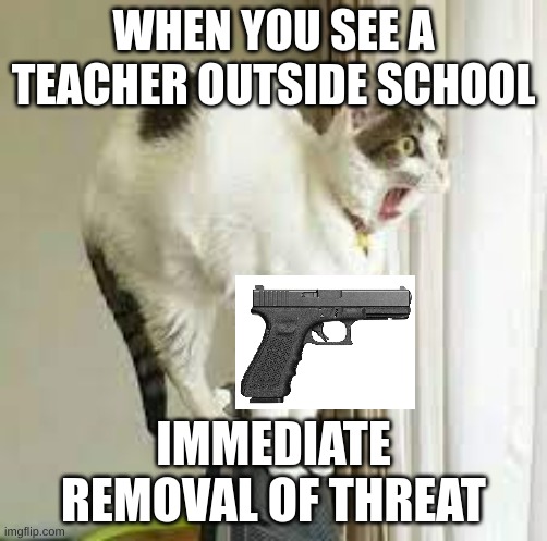 cat vs teacher | WHEN YOU SEE A TEACHER OUTSIDE SCHOOL; IMMEDIATE REMOVAL OF THREAT | image tagged in cat,gun,funny | made w/ Imgflip meme maker