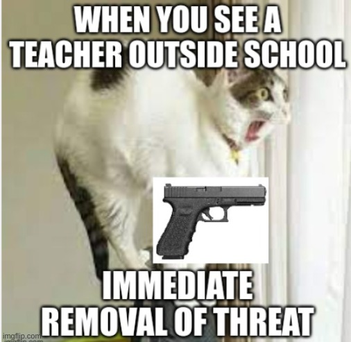 cat mon | image tagged in cats,funny,gun | made w/ Imgflip meme maker