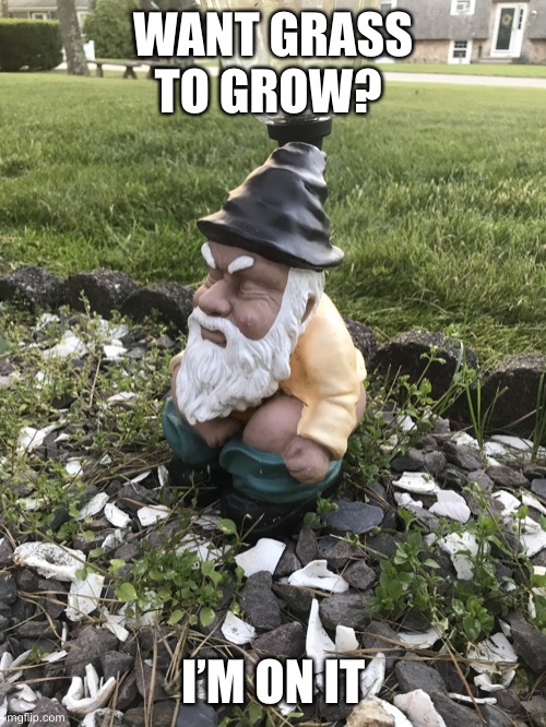 New manure | WANT GRASS TO GROW? I’M ON IT | image tagged in pooping gnome | made w/ Imgflip meme maker
