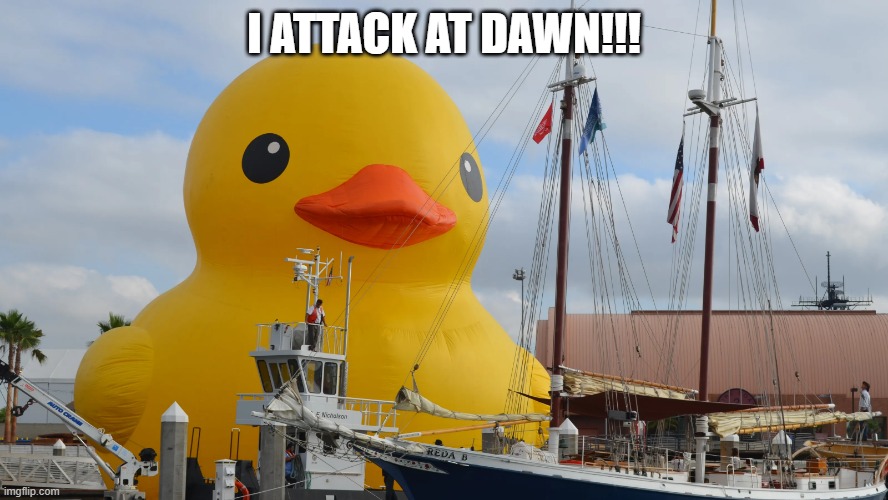 Invasion | I ATTACK AT DAWN!!! | image tagged in duck | made w/ Imgflip meme maker