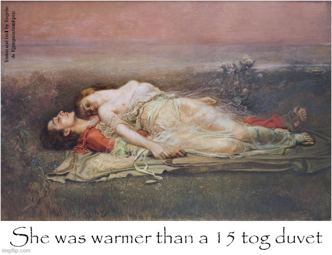 Duvet | Tristan and Isolt by Rogelio
de Egusquiza/minkpen; She was warmer than a 15 tog duvet | image tagged in art memes,academic,tristan and isolde,duvet,warm,lovers | made w/ Imgflip meme maker