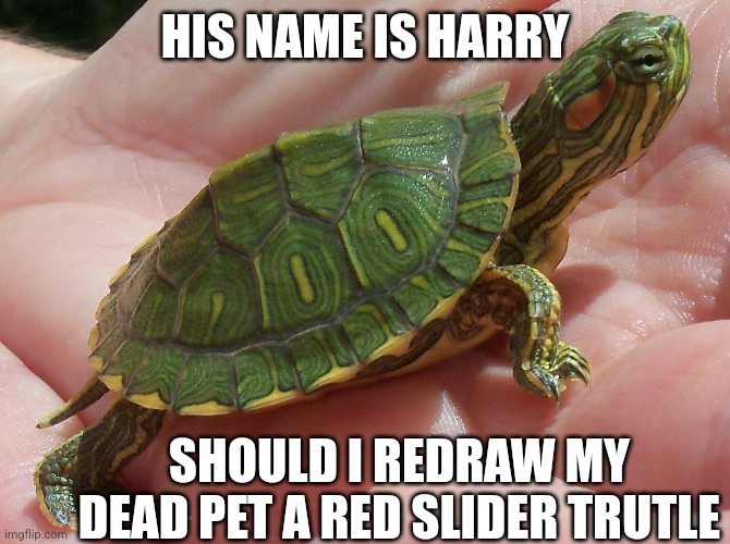 Rip harry | HIS NAME IS HARRY; SHOULD I REDRAW MY DEAD PET A RED SLIDER TRUTLE | image tagged in hell yeah | made w/ Imgflip meme maker