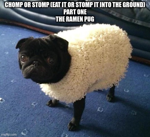 the ramen pug | CHOMP OR STOMP (EAT IT OR STOMP IT INTO THE GROUND)
PART ONE
THE RAMEN PUG | image tagged in the ramen pug | made w/ Imgflip meme maker