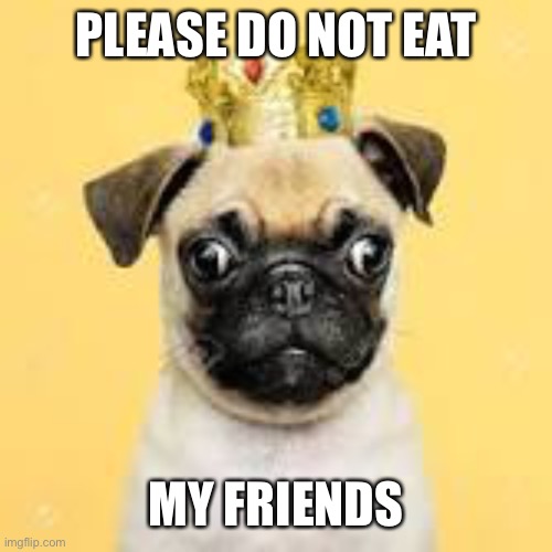 PLEASE DO NOT EAT MY FRIENDS | made w/ Imgflip meme maker