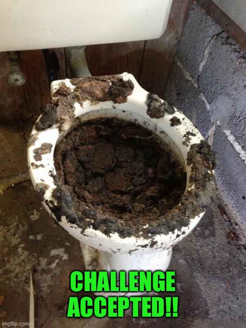 toilet | CHALLENGE ACCEPTED!! | image tagged in toilet | made w/ Imgflip meme maker