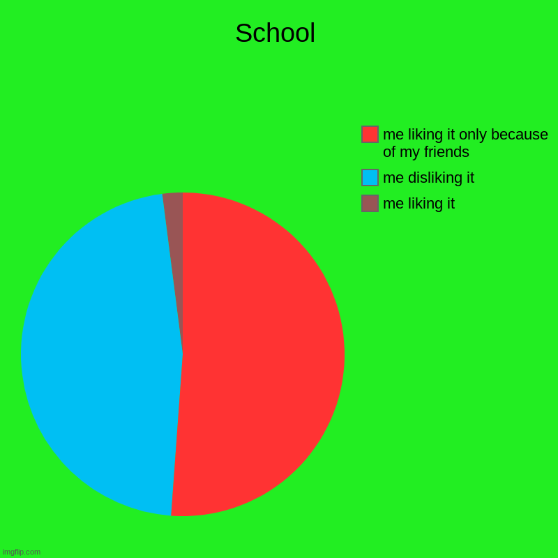 School | me liking it, me disliking it, me liking it only because of my friends | image tagged in charts,pie charts | made w/ Imgflip chart maker