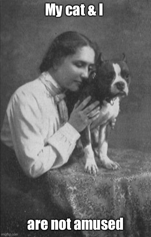 Helen Keller | My cat & I are not amused | image tagged in helen keller | made w/ Imgflip meme maker