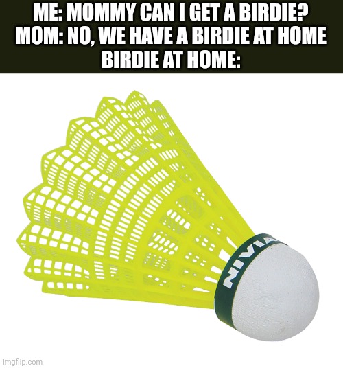 Meme #45 | ME: MOMMY CAN I GET A BIRDIE?
MOM: NO, WE HAVE A BIRDIE AT HOME
BIRDIE AT HOME: | image tagged in memes,funny,birdie,mom can we have,funny memes,moms | made w/ Imgflip meme maker