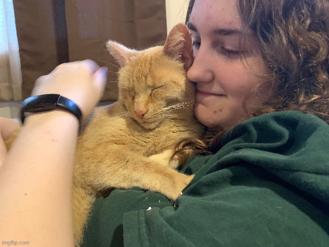 Me petting my cat | made w/ Imgflip meme maker