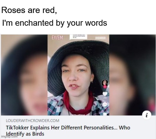 Roses are red, I'm enchanted by your words | image tagged in memes,tiktok,birds,personality disorders,identify,personality | made w/ Imgflip meme maker