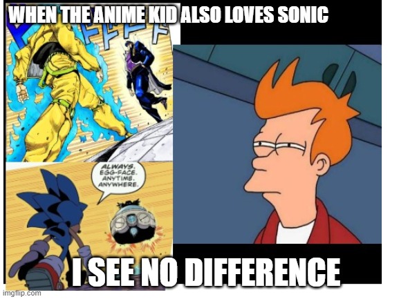 difference between series | WHEN THE ANIME KID ALSO LOVES SONIC; I SEE NO DIFFERENCE | image tagged in anime | made w/ Imgflip meme maker