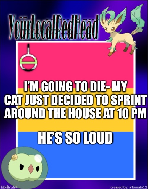 Cats are weird | I’M GOING TO DIE- MY CAT JUST DECIDED TO SPRINT AROUND THE HOUSE AT 10 PM; HE’S SO LOUD | image tagged in reds template | made w/ Imgflip meme maker