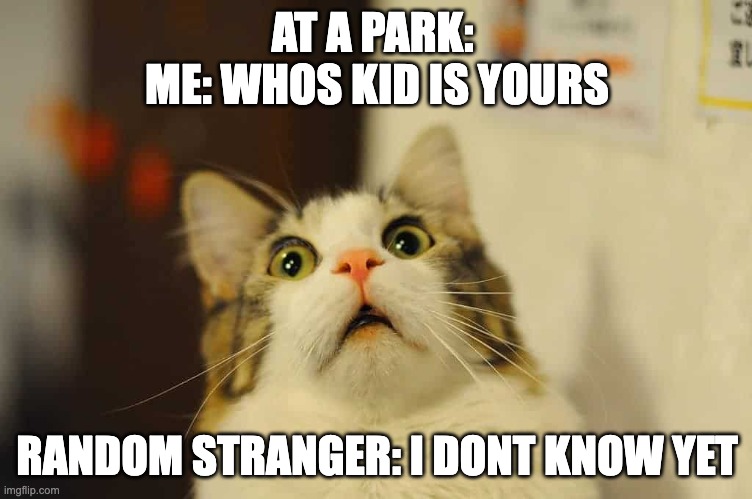 Scared Cat | AT A PARK: 
ME: WHOS KID IS YOURS; RANDOM STRANGER: I DONT KNOW YET | image tagged in scared cat,memes,lol | made w/ Imgflip meme maker