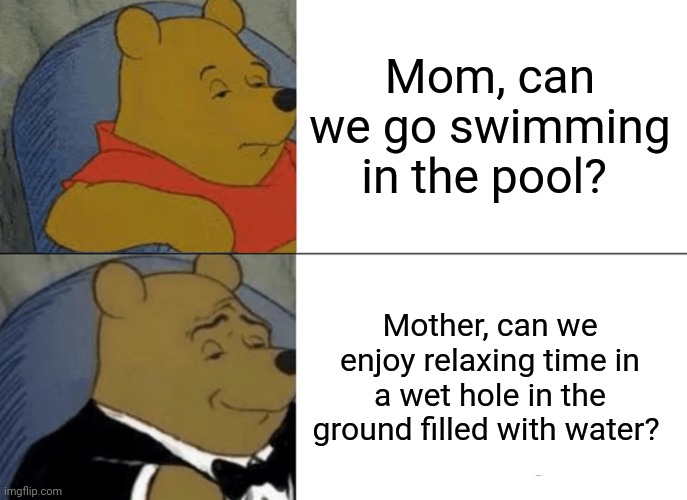 Fanceh | Mom, can we go swimming in the pool? Mother, can we enjoy relaxing time in a wet hole in the ground filled with water? | image tagged in memes,tuxedo winnie the pooh | made w/ Imgflip meme maker