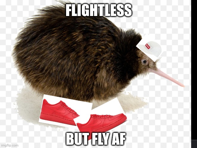 FLIGHTLESS; BUT FLY AF | image tagged in fly | made w/ Imgflip meme maker