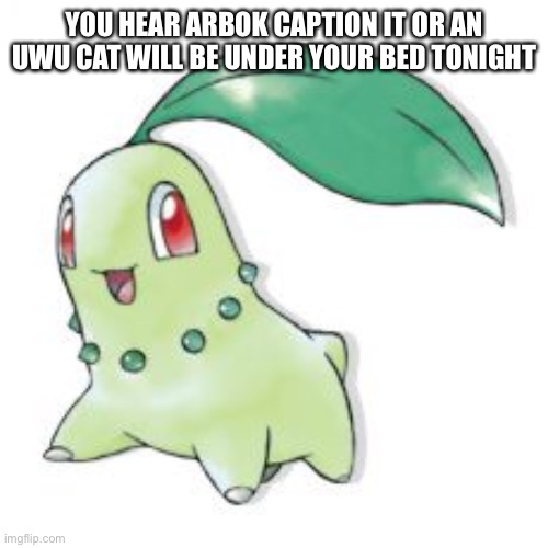 Chikorita | YOU HEAR ARBOK CAPTION IT OR AN UWU CAT WILL BE UNDER YOUR BED TONIGHT | image tagged in chikorita | made w/ Imgflip meme maker