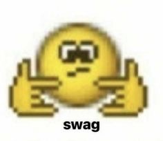 swag | image tagged in swag | made w/ Imgflip meme maker