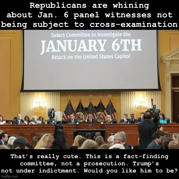 Jan. 6 panel witnesses Blank Meme Template