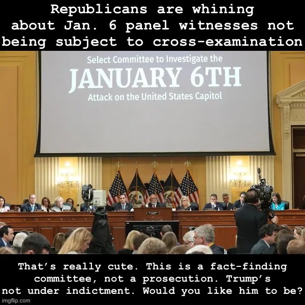 Jan. 6 panel witnesses | image tagged in jan 6 panel witnesses | made w/ Imgflip meme maker
