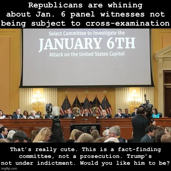 Troll of the Day: anti-Jan. 6 committee trolls | image tagged in jan 6 panel witnesses | made w/ Imgflip meme maker