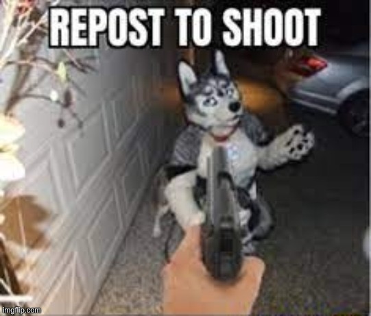 I reposted here because you can’t repost in afs anymore | image tagged in repost,shoot,furries,they,must,die | made w/ Imgflip meme maker