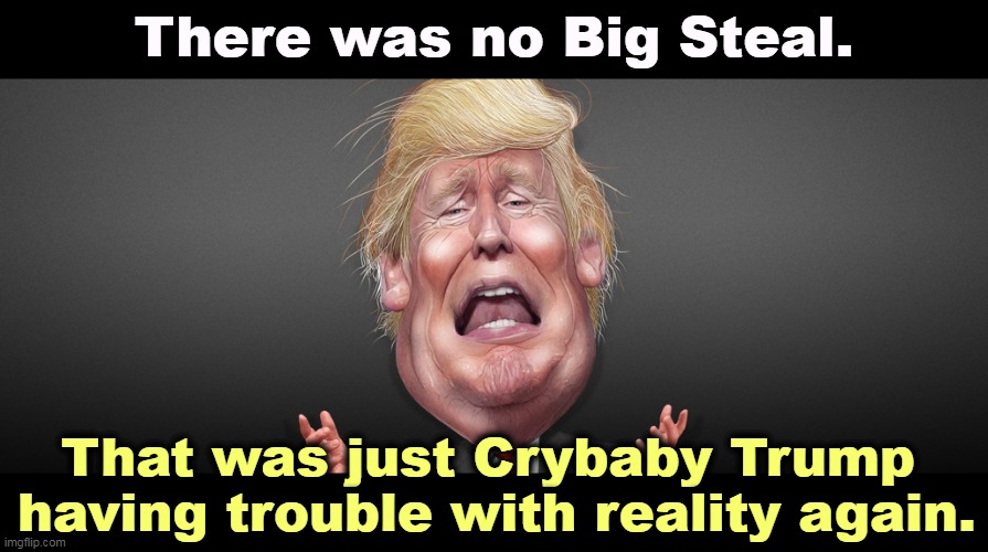 Trump didn't lose because it was rigged. He lost because he couldn't persuade enough Americans to vote for him. |  There was no Big Steal. That was just Crybaby Trump 
having trouble with reality again. | image tagged in trump,steal,fantasy,loser,crybaby | made w/ Imgflip meme maker