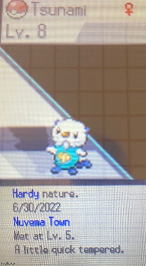Was gonna restart my nuzlocke after failing, decided not to, this is what I named my Pokémon | made w/ Imgflip meme maker
