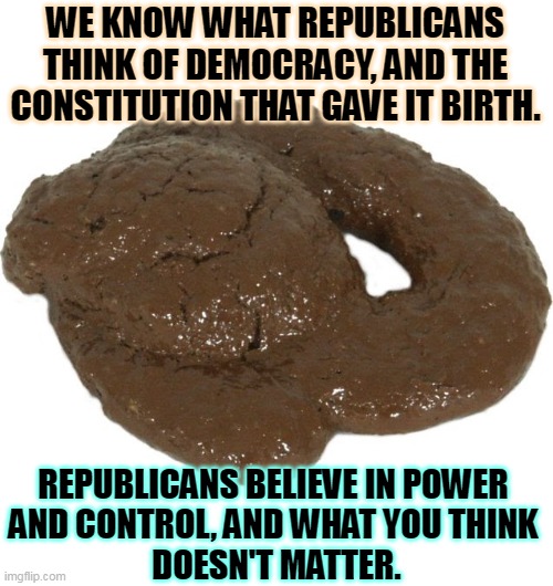 Vote for Republicans, vote for tyranny. | WE KNOW WHAT REPUBLICANS THINK OF DEMOCRACY, AND THE CONSTITUTION THAT GAVE IT BIRTH. REPUBLICANS BELIEVE IN POWER 
AND CONTROL, AND WHAT YOU THINK 
DOESN'T MATTER. | image tagged in republicans,fascists,tyranny,kill,constitution,democracy | made w/ Imgflip meme maker