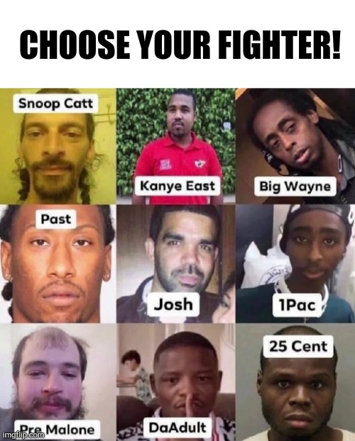 Choose your fighter! | CHOOSE YOUR FIGHTER! | image tagged in choose your fighter | made w/ Imgflip meme maker