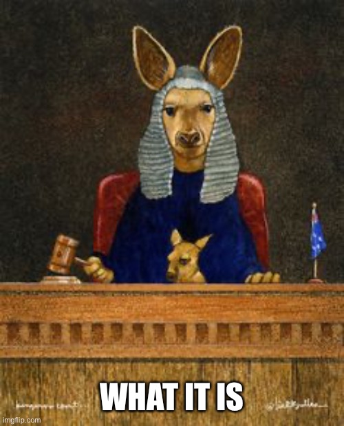 Kangaroo Court | WHAT IT IS | image tagged in kangaroo court | made w/ Imgflip meme maker