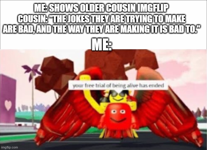 >:) |  ME: SHOWS OLDER COUSIN IMGFLIP; COUSIN: "THE JOKES THEY ARE TRYING TO MAKE ARE BAD, AND THE WAY THEY ARE MAKING IT IS BAD TO."; ME: | image tagged in your free trial of being alive has ended,memes | made w/ Imgflip meme maker