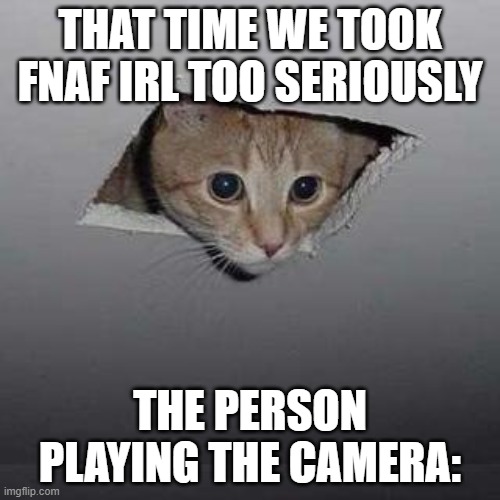 Ceiling Cat Meme | THAT TIME WE TOOK FNAF IRL TOO SERIOUSLY; THE PERSON PLAYING THE CAMERA: | image tagged in memes,ceiling cat | made w/ Imgflip meme maker