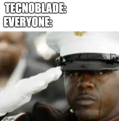 rest in peace | TECNOBLADE:; EVERYONE: | image tagged in sad salute | made w/ Imgflip meme maker