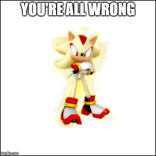 imma just post this at random moments | YOU'RE ALL WRONG | image tagged in super shadow | made w/ Imgflip meme maker