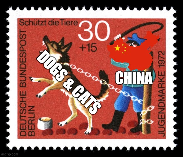 DOGS & CATS; CHINA | made w/ Imgflip meme maker