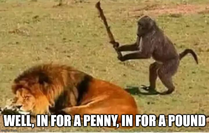 Monkey lion | WELL, IN FOR A PENNY, IN FOR A POUND | image tagged in monkey lion | made w/ Imgflip meme maker