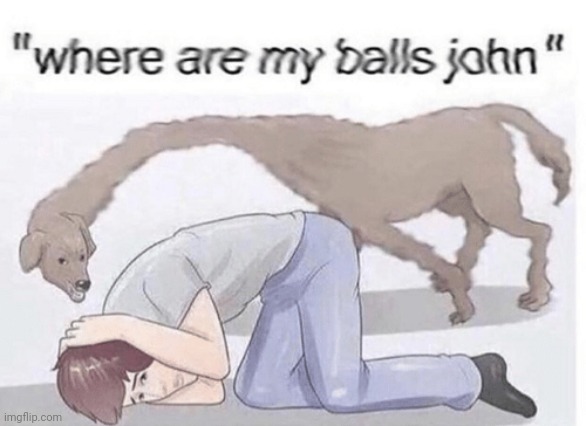 where are my balls john | image tagged in where are my balls john | made w/ Imgflip meme maker