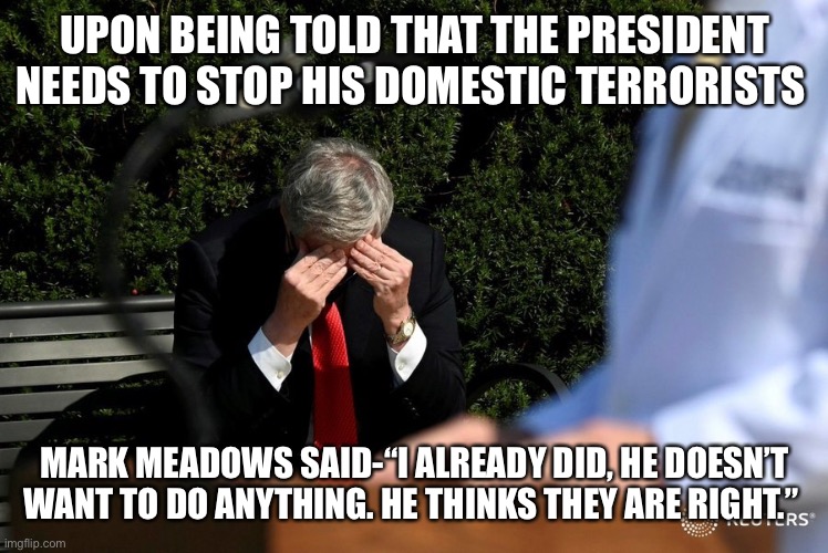 mark meadows FML | UPON BEING TOLD THAT THE PRESIDENT NEEDS TO STOP HIS DOMESTIC TERRORISTS; MARK MEADOWS SAID-“I ALREADY DID, HE DOESN’T WANT TO DO ANYTHING. HE THINKS THEY ARE RIGHT.” | image tagged in mark meadows fml | made w/ Imgflip meme maker
