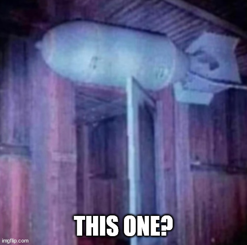 Bomb over the door | THIS ONE? | image tagged in bomb over the door | made w/ Imgflip meme maker