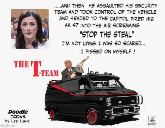 Cassidy Hutchinson what an  Idiot | image tagged in donald trump,secret service | made w/ Imgflip meme maker