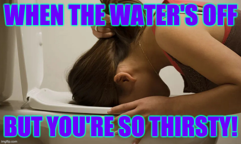 Natural resources. | WHEN THE WATER'S OFF; BUT YOU'RE SO THIRSTY! | image tagged in memes,thirsty | made w/ Imgflip meme maker