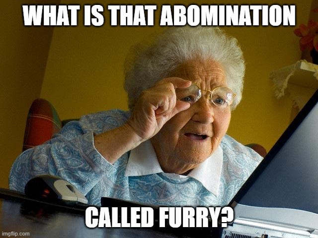 grandma dont touch that link, no dont open it, nooooooooooooooooooooooooooooo | WHAT IS THAT ABOMINATION; CALLED FURRY? | image tagged in memes,grandma finds the internet,trauma,rip | made w/ Imgflip meme maker