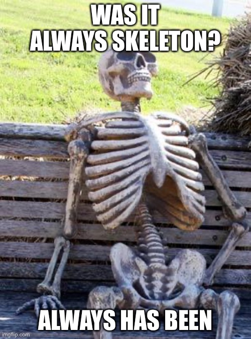 Waiting Skeleton | WAS IT ALWAYS SKELETON? ALWAYS HAS BEEN | image tagged in memes,waiting skeleton | made w/ Imgflip meme maker