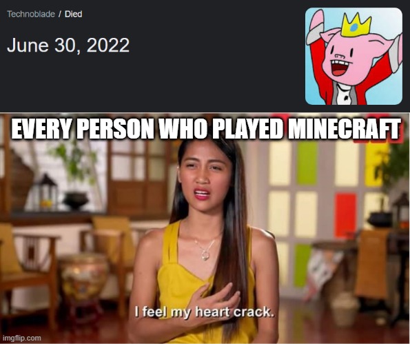 Good things have to go ;-; | EVERY PERSON WHO PLAYED MINECRAFT | image tagged in i feel my heart crack | made w/ Imgflip meme maker