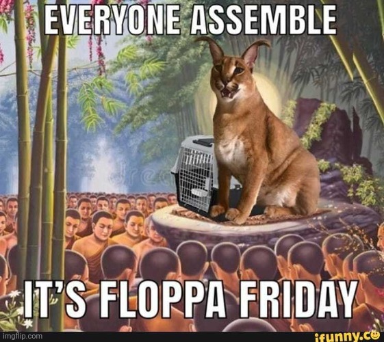 WOOOO FLOPPA FRIDAY | image tagged in floppa | made w/ Imgflip meme maker