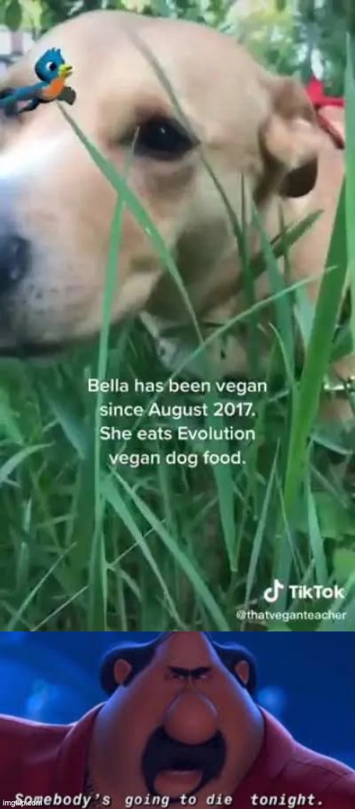 This is abuse bro | image tagged in vegan dog,somebody's going to die tonight | made w/ Imgflip meme maker
