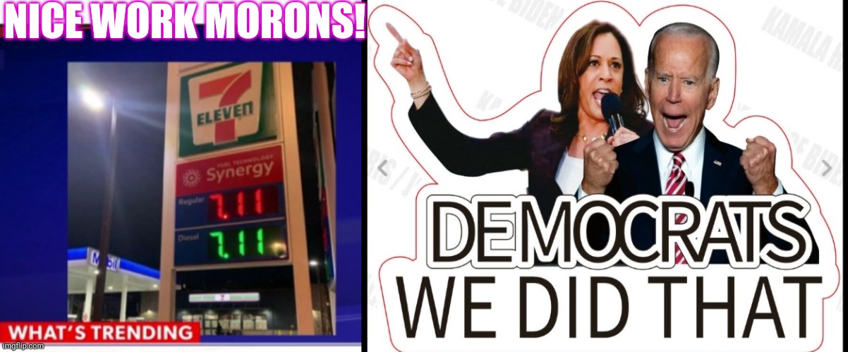 Dumbass Libtards | NICE WORK MORONS! | image tagged in impeach,democrat,criminals,libtards,suck,moose | made w/ Imgflip meme maker