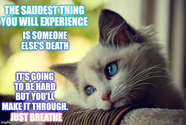 Q: How Do You Help Someone Who Just Lost A Friend?  A: Be There | THE SADDEST THING YOU WILL EXPERIENCE; IS SOMEONE ELSE'S DEATH; IT'S GOING TO BE HARD BUT YOU'LL MAKE IT THROUGH.  JUST BREATHE; JUST BREATHE | image tagged in memes,first world problems cat,death,loss,grief,sad but true | made w/ Imgflip meme maker