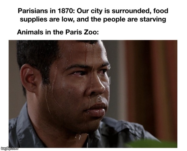 Franco-Prussian Seige | image tagged in history memes | made w/ Imgflip meme maker